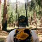 A man viewed from behind in a pine forest, wearing a camouflage baseball cap with yellow text that reads 'DIE TIRED COMPANY' and a yellow and black backpack.