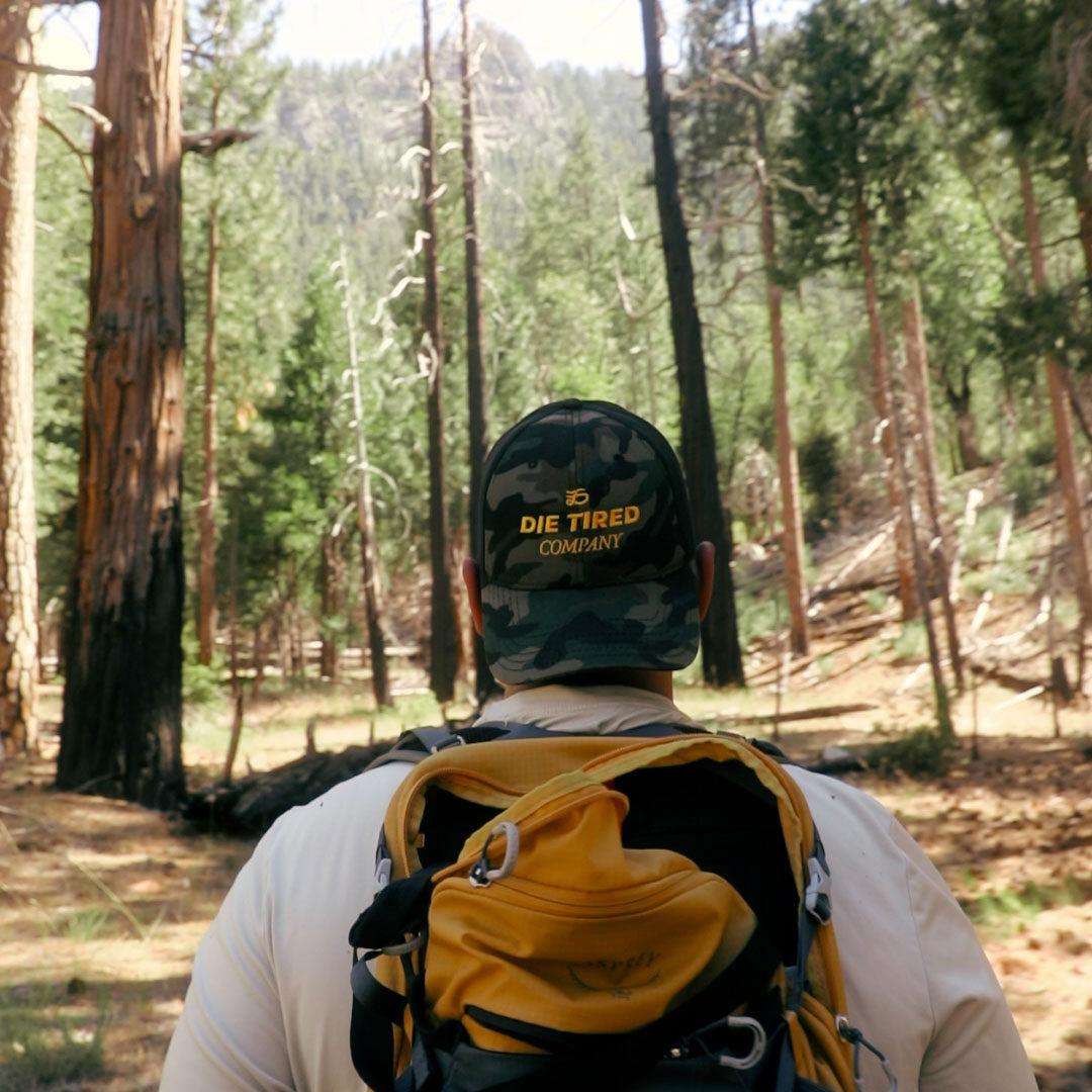 A man viewed from behind in a pine forest, wearing a camouflage baseball cap with yellow text that reads 'DIE TIRED COMPANY' and a yellow and black backpack.